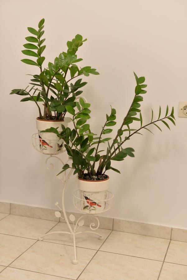 Diogenis Suite Rethymno  Luaran gambar